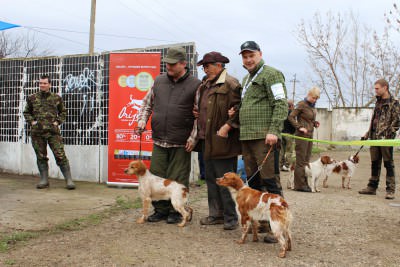 Первые две суки.JPG