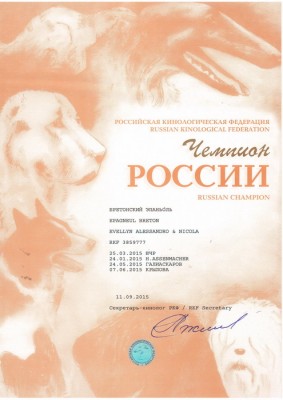 чемпион россии.JPG