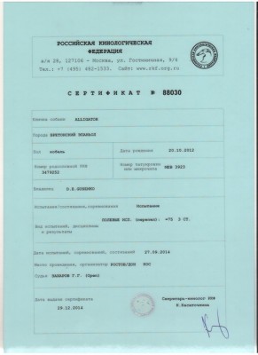 рабочий сертификат РКФ.JPG